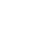 Social On Table digital agency animated element